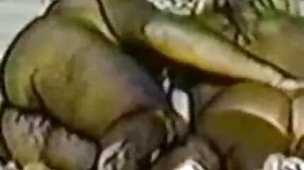 Người đàn ông sex xx nhat ban Nga giật ra khỏi âm hộ của một con đĩ busty.
